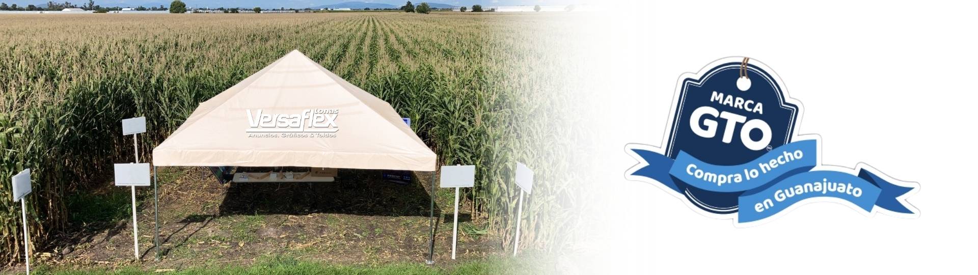 Carpa Versaflex - Marca Guanajuato