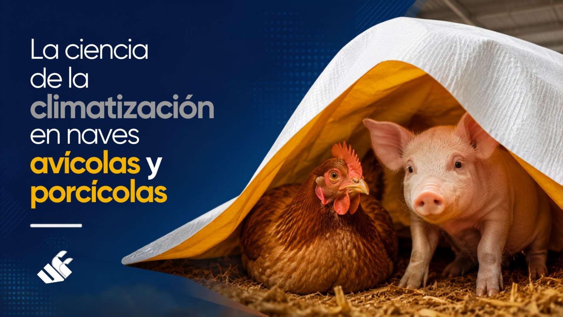 Climatización avícola y porcícola