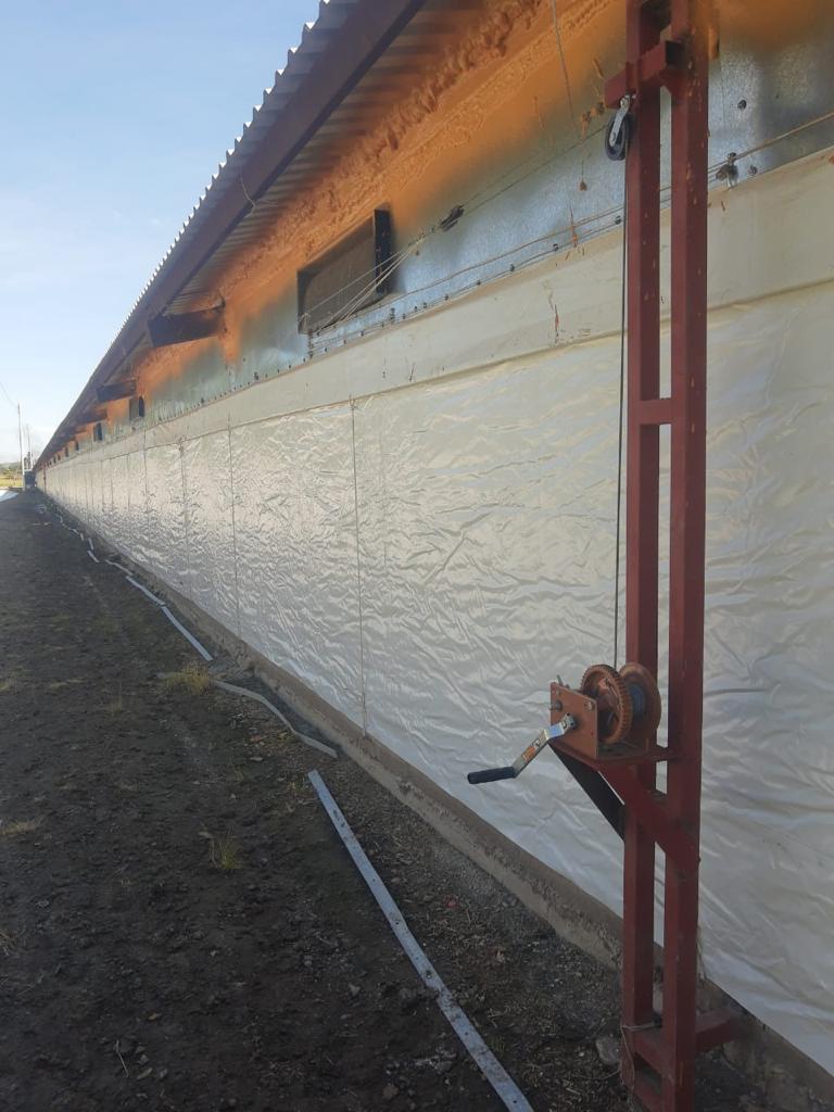 Cortinas avícolas blancas